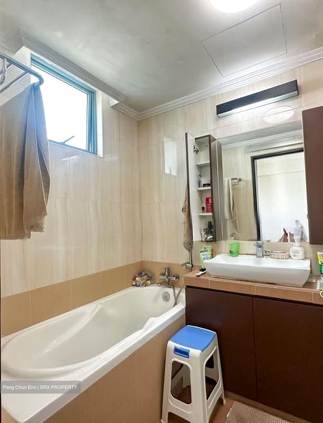 Springdale Condominium (D21), Condominium #576726201